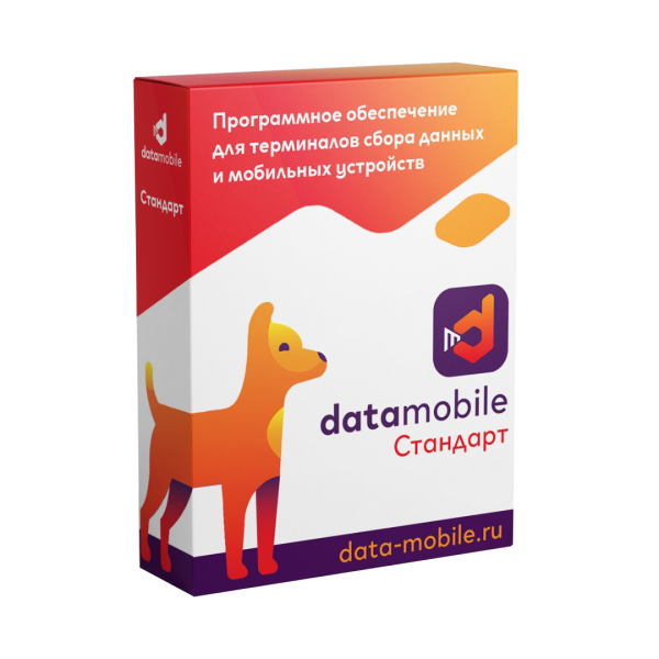 ПО DataMobile, версия Стандарт LifeTime (45873) (S0012613)